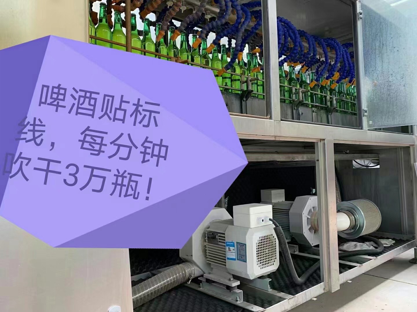 啤酒风干图片.jpg 啤酒风干图片.jpg